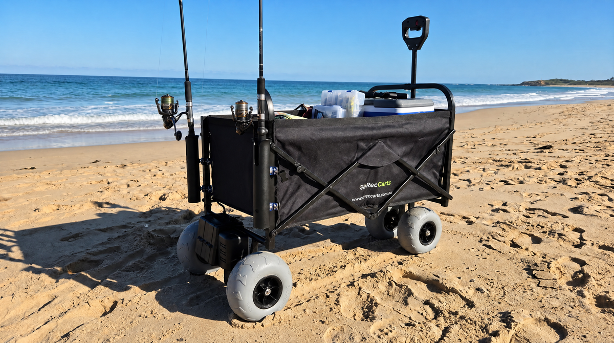Hybrid Electric Beach Cart — Balloon Wheel Edition